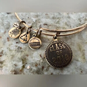 RETIRED: Alex and Ani | Class of 2013 charm bracelet